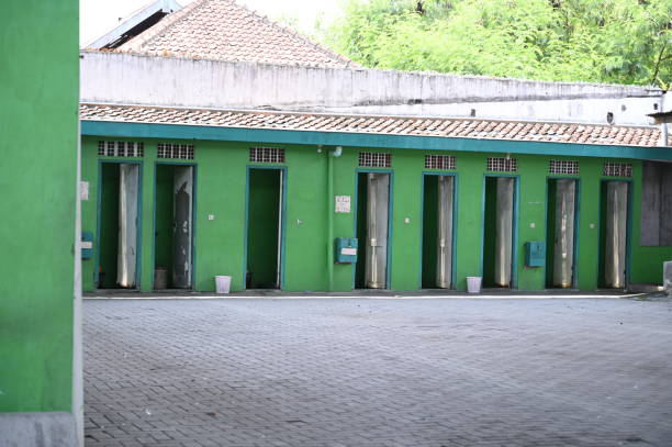 Best Sanitation services for porta potties  in Williamson, AZ
